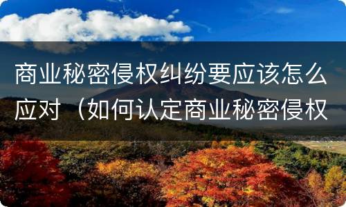 商业秘密侵权纠纷要应该怎么应对（如何认定商业秘密侵权行为）
