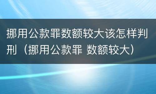 挪用公款罪数额较大该怎样判刑（挪用公款罪 数额较大）