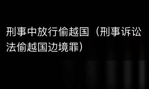 刑事中放行偷越国（刑事诉讼法偷越国边境罪）