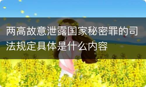两高故意泄露国家秘密罪的司法规定具体是什么内容