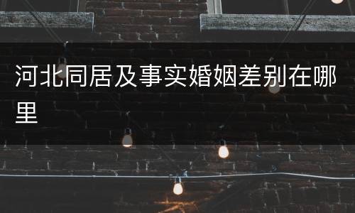 河北同居及事实婚姻差别在哪里