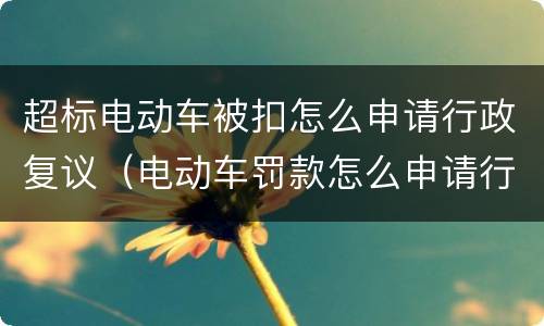超标电动车被扣怎么申请行政复议（电动车罚款怎么申请行政复议）