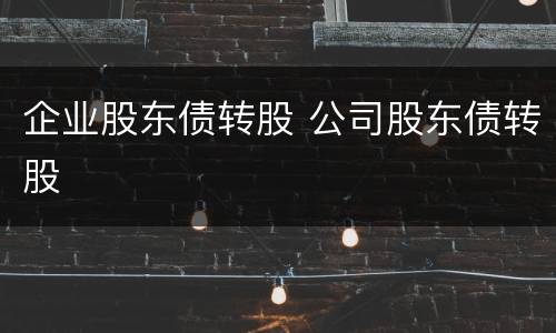 企业股东债转股 公司股东债转股