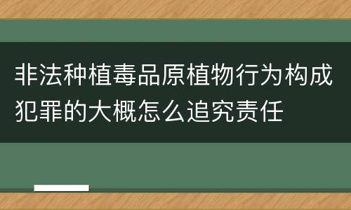 非法种植毒品原植物行为构成犯罪的大概怎么追究责任