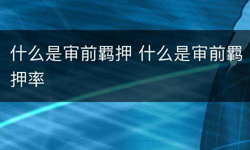 什么是审前羁押 什么是审前羁押率