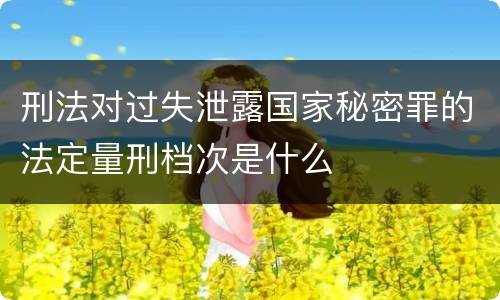 刑法对过失泄露国家秘密罪的法定量刑档次是什么