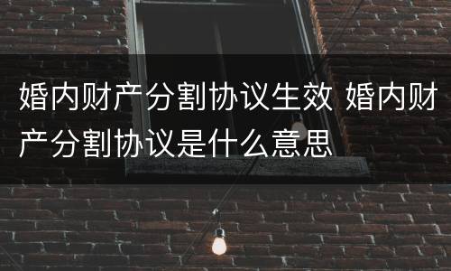 婚内财产分割协议生效 婚内财产分割协议是什么意思