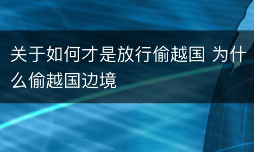 关于如何才是放行偷越国 为什么偷越国边境