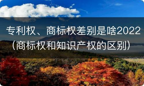 专利权、商标权差别是啥2022（商标权和知识产权的区别）