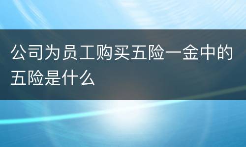 公司为员工购买五险一金中的五险是什么