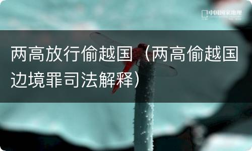 两高放行偷越国（两高偷越国边境罪司法解释）