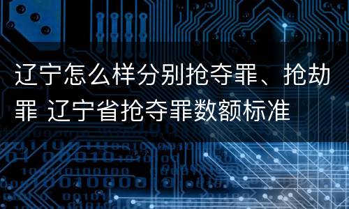 辽宁怎么样分别抢夺罪、抢劫罪 辽宁省抢夺罪数额标准
