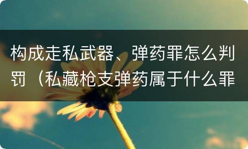 构成走私武器、弹药罪怎么判罚（私藏枪支弹药属于什么罪）