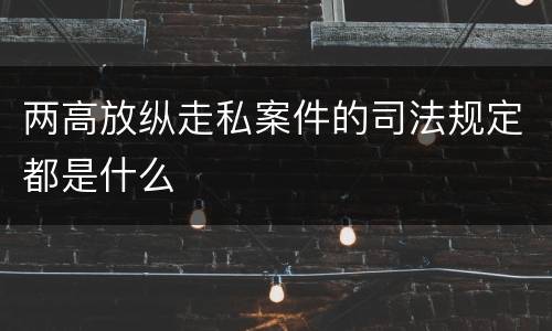 两高放纵走私案件的司法规定都是什么