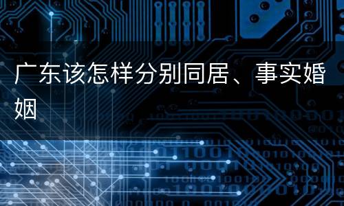 广东该怎样分别同居、事实婚姻