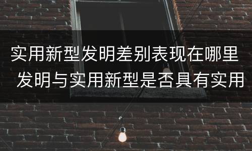 实用新型发明差别表现在哪里 发明与实用新型是否具有实用性