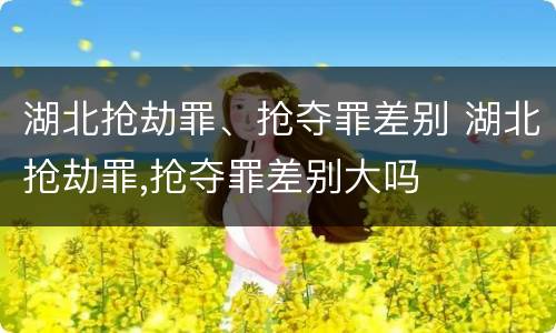 湖北抢劫罪、抢夺罪差别 湖北抢劫罪,抢夺罪差别大吗