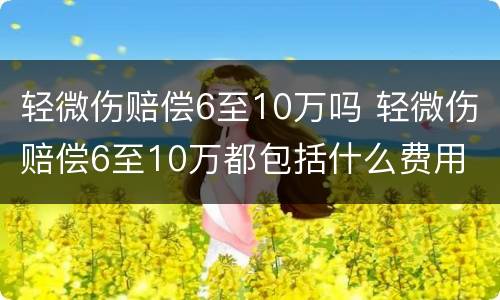 轻微伤赔偿6至10万吗 轻微伤赔偿6至10万都包括什么费用