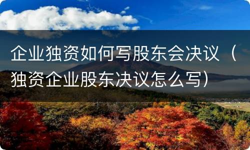 企业独资如何写股东会决议（独资企业股东决议怎么写）