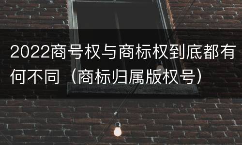 2022商号权与商标权到底都有何不同（商标归属版权号）