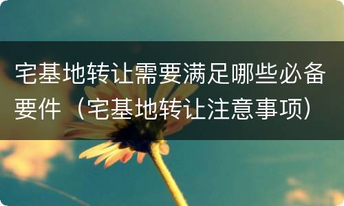 宅基地转让需要满足哪些必备要件（宅基地转让注意事项）