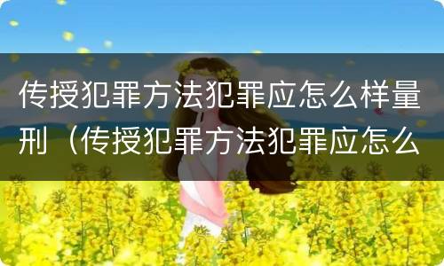 传授犯罪方法犯罪应怎么样量刑（传授犯罪方法犯罪应怎么样量刑）
