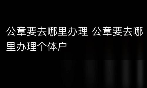 公章要去哪里办理 公章要去哪里办理个体户