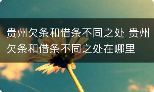 贵州欠条和借条不同之处 贵州欠条和借条不同之处在哪里