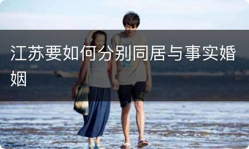 江苏要如何分别同居与事实婚姻