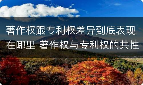 著作权跟专利权差异到底表现在哪里 著作权与专利权的共性有