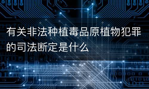 有关非法种植毒品原植物犯罪的司法断定是什么