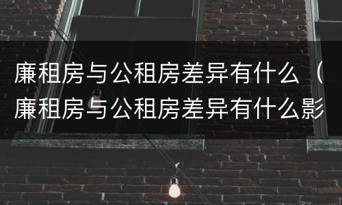 廉租房与公租房差异有什么（廉租房与公租房差异有什么影响）