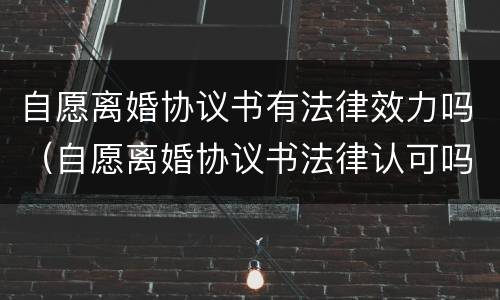 自愿离婚协议书有法律效力吗（自愿离婚协议书法律认可吗）