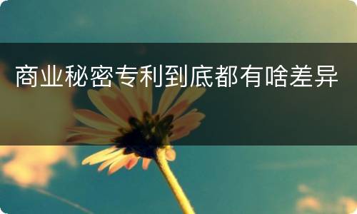 商业秘密专利到底都有啥差异