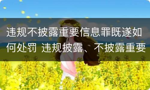 违规不披露重要信息罪既遂如何处罚 违规披露、不披露重要信息罪