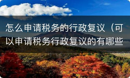 怎么申请税务的行政复议（可以申请税务行政复议的有哪些）
