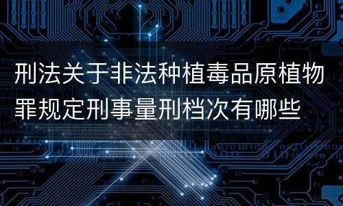 刑法关于非法种植毒品原植物罪规定刑事量刑档次有哪些