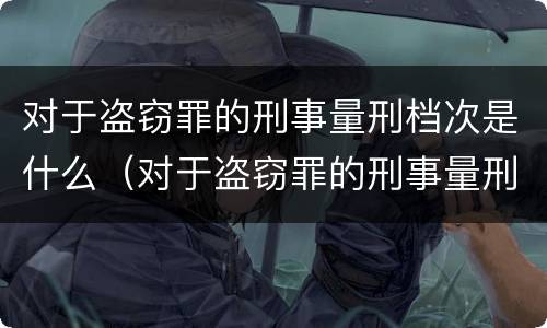 对于盗窃罪的刑事量刑档次是什么（对于盗窃罪的刑事量刑档次是什么意思）