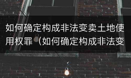 如何确定构成非法变卖土地使用权罪（如何确定构成非法变卖土地使用权罪）