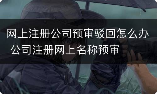 网上注册公司预审驳回怎么办 公司注册网上名称预审