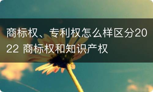 商标权、专利权怎么样区分2022 商标权和知识产权