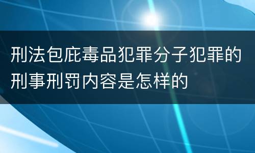 刑法包庇毒品犯罪分子犯罪的刑事刑罚内容是怎样的