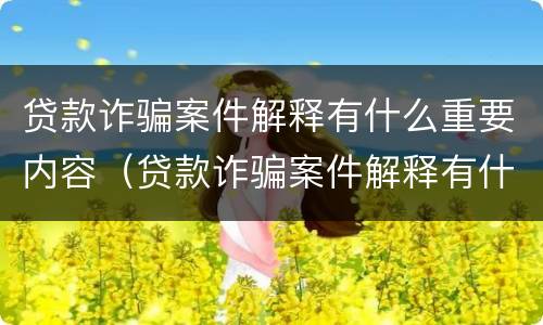 贷款诈骗案件解释有什么重要内容（贷款诈骗案件解释有什么重要内容吗）