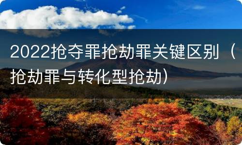 2022抢夺罪抢劫罪关键区别（抢劫罪与转化型抢劫）