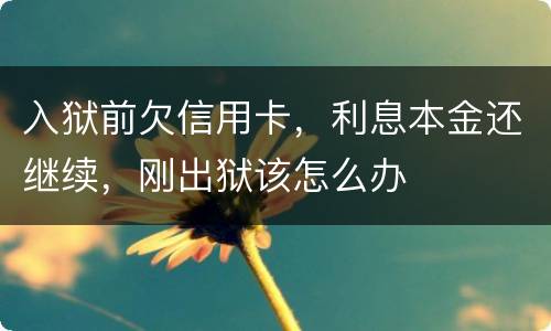 入狱前欠信用卡，利息本金还继续，刚出狱该怎么办