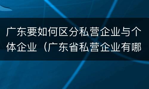 广东要如何区分私营企业与个体企业（广东省私营企业有哪些）