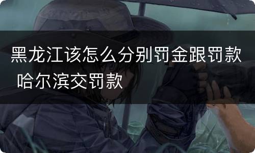 黑龙江该怎么分别罚金跟罚款 哈尔滨交罚款