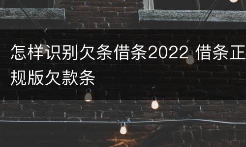 怎样识别欠条借条2022 借条正规版欠款条