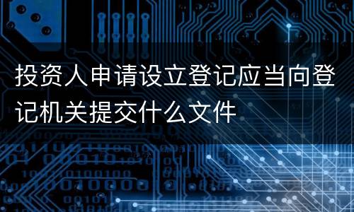 投资人申请设立登记应当向登记机关提交什么文件