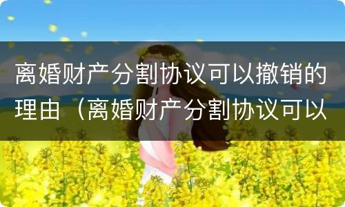 离婚财产分割协议可以撤销的理由（离婚财产分割协议可以撤销的理由是）